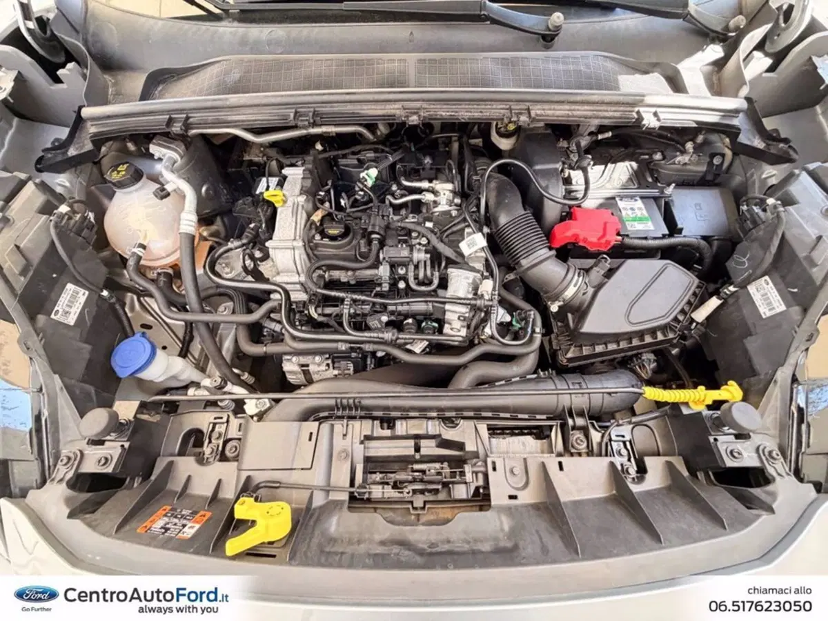 Ford Puma usata a Roma (12)