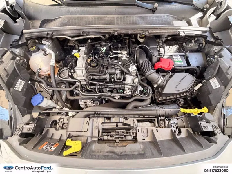 Ford Puma usata a Roma (12)