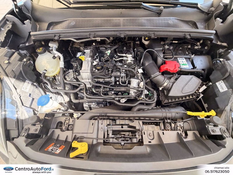 Ford Puma usata a Roma (11)