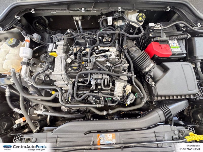 Ford Focus Station Wagon usata a Roma (11)