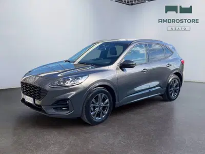 Ford Kuga 2.0 EcoBlue 120 CV aut. 2WD ST-Line X del 2023 usata a Segrate