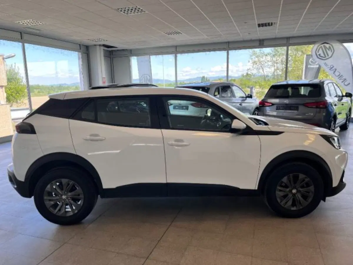 Peugeot 2008 usata a Cuneo (8)