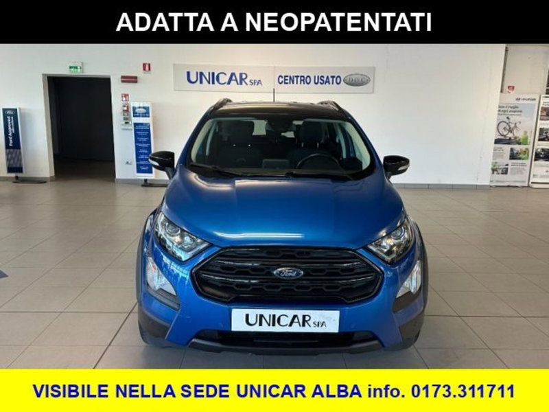 Ford EcoSport usata a Cuneo (2)