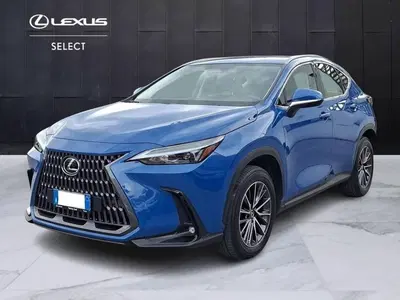 Lexus NX Hybrid 4WD Premium del 2023 usata a Torino