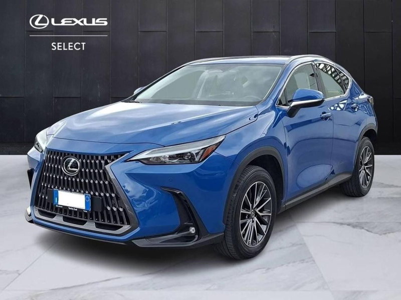Lexus NX usata a Torino