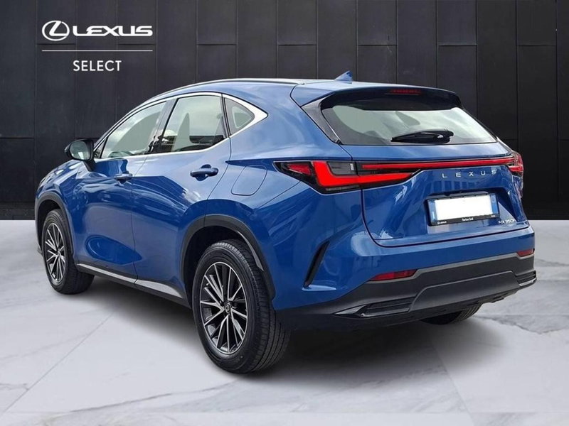 Lexus NX usata a Torino (3)