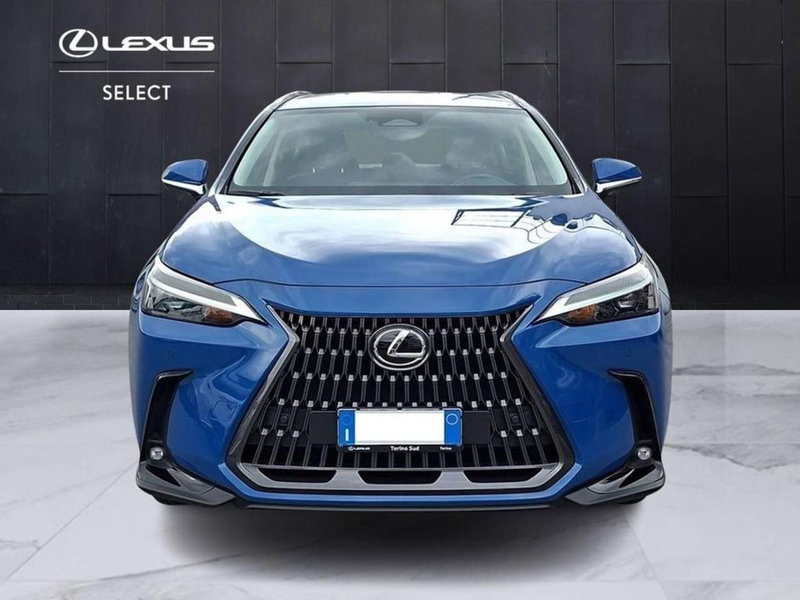 Lexus NX usata a Torino (4)