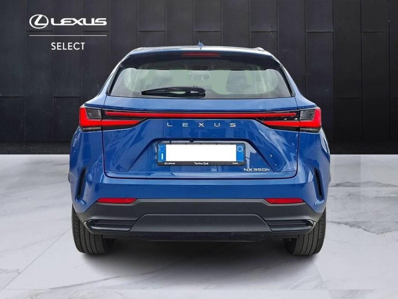 Lexus NX usata a Torino (5)