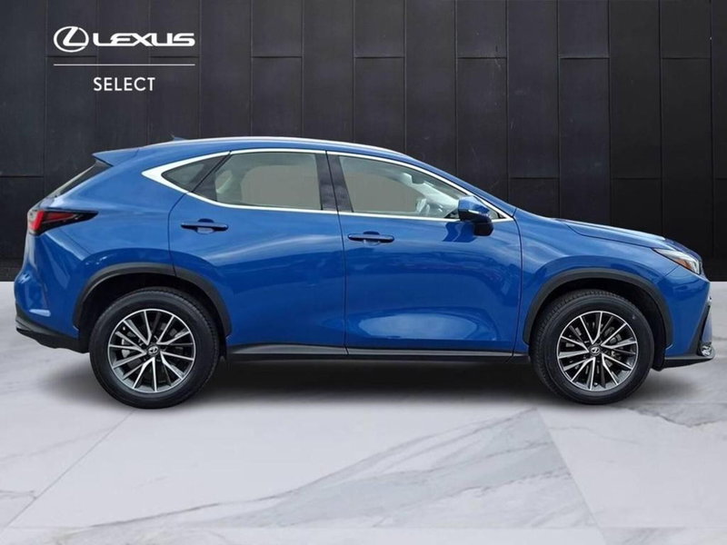 Lexus NX usata a Torino (6)