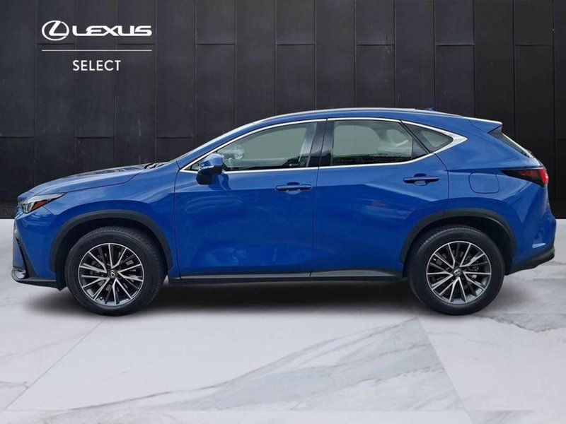 Lexus NX usata a Torino (7)