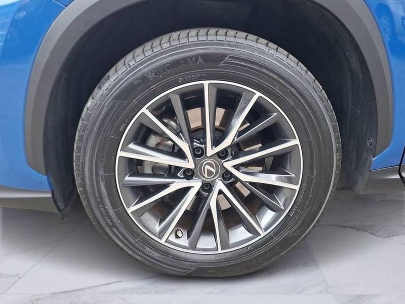 Lexus NX usata a Torino (8)