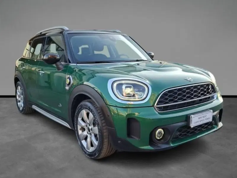 MINI Mini Countryman usata a Verona (15)