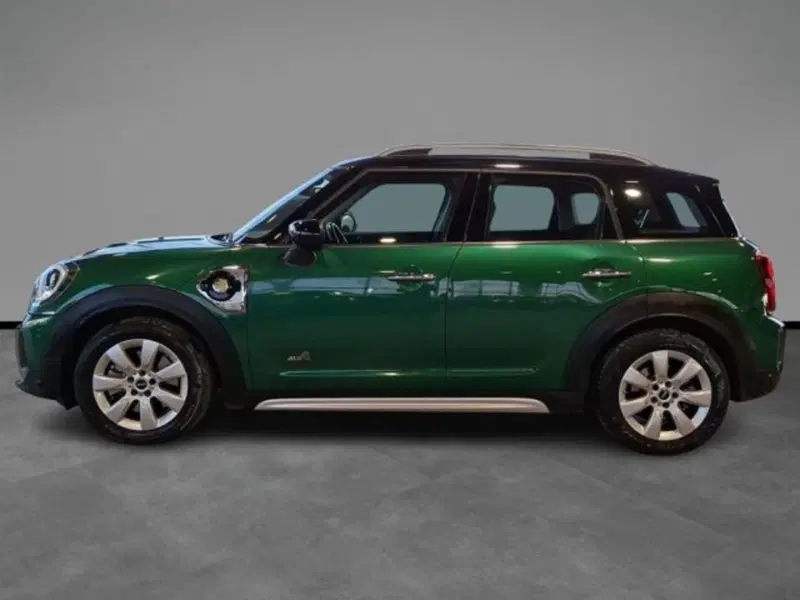 MINI Mini Countryman usata a Verona (3)
