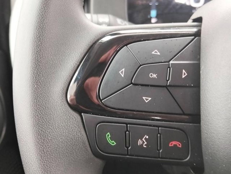 Fiat Panda Cross usata a Como (11)