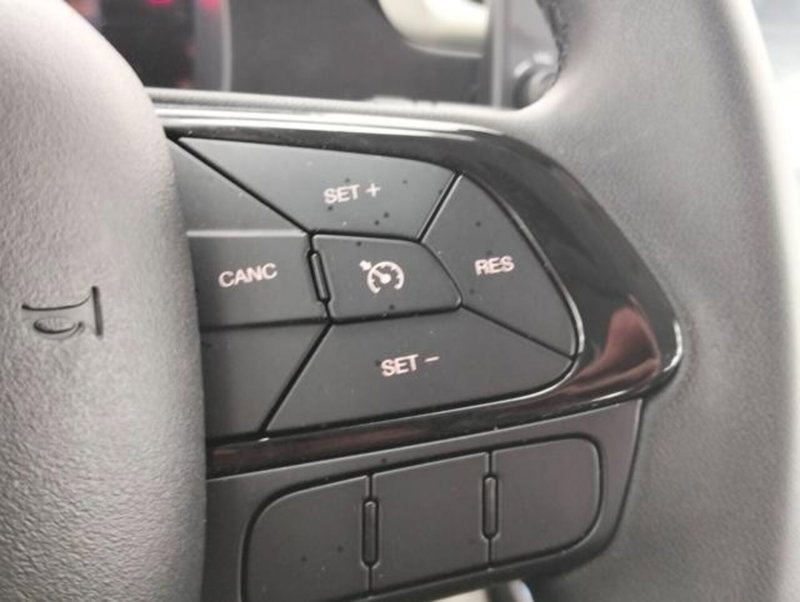 Fiat Panda Cross usata a Como (12)