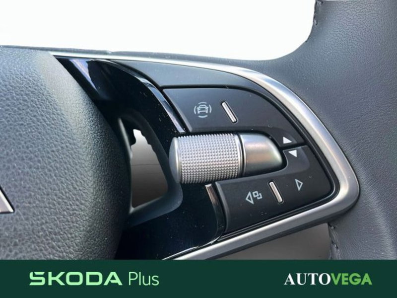 Skoda Octavia Station Wagon usata a Vicenza (19)