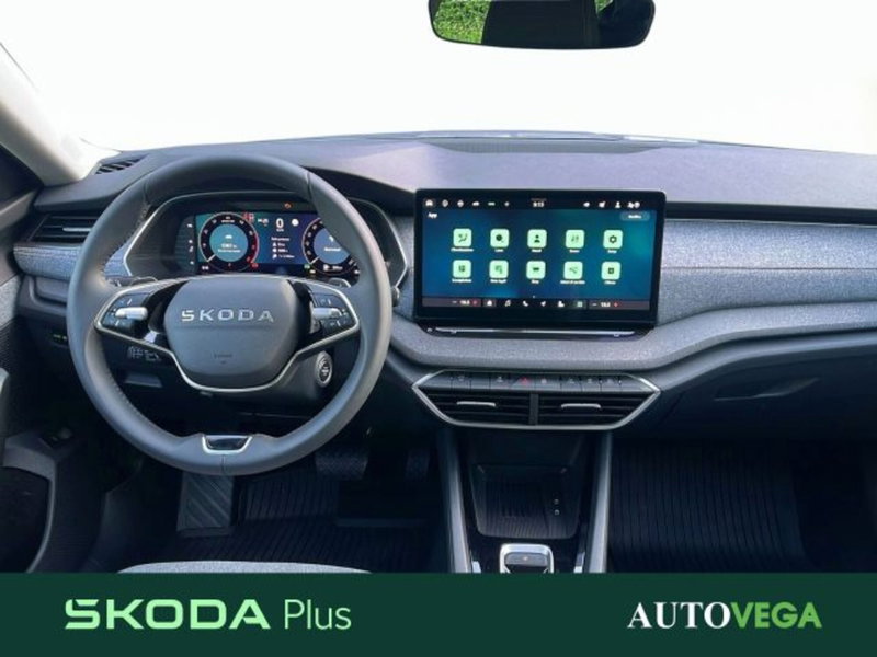 Skoda Octavia Station Wagon usata a Vicenza (8)