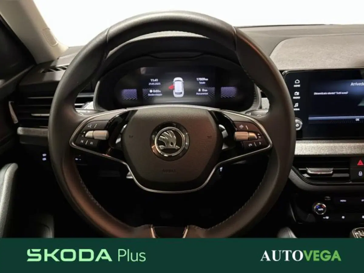 Skoda Kamiq usata a Vicenza (9)