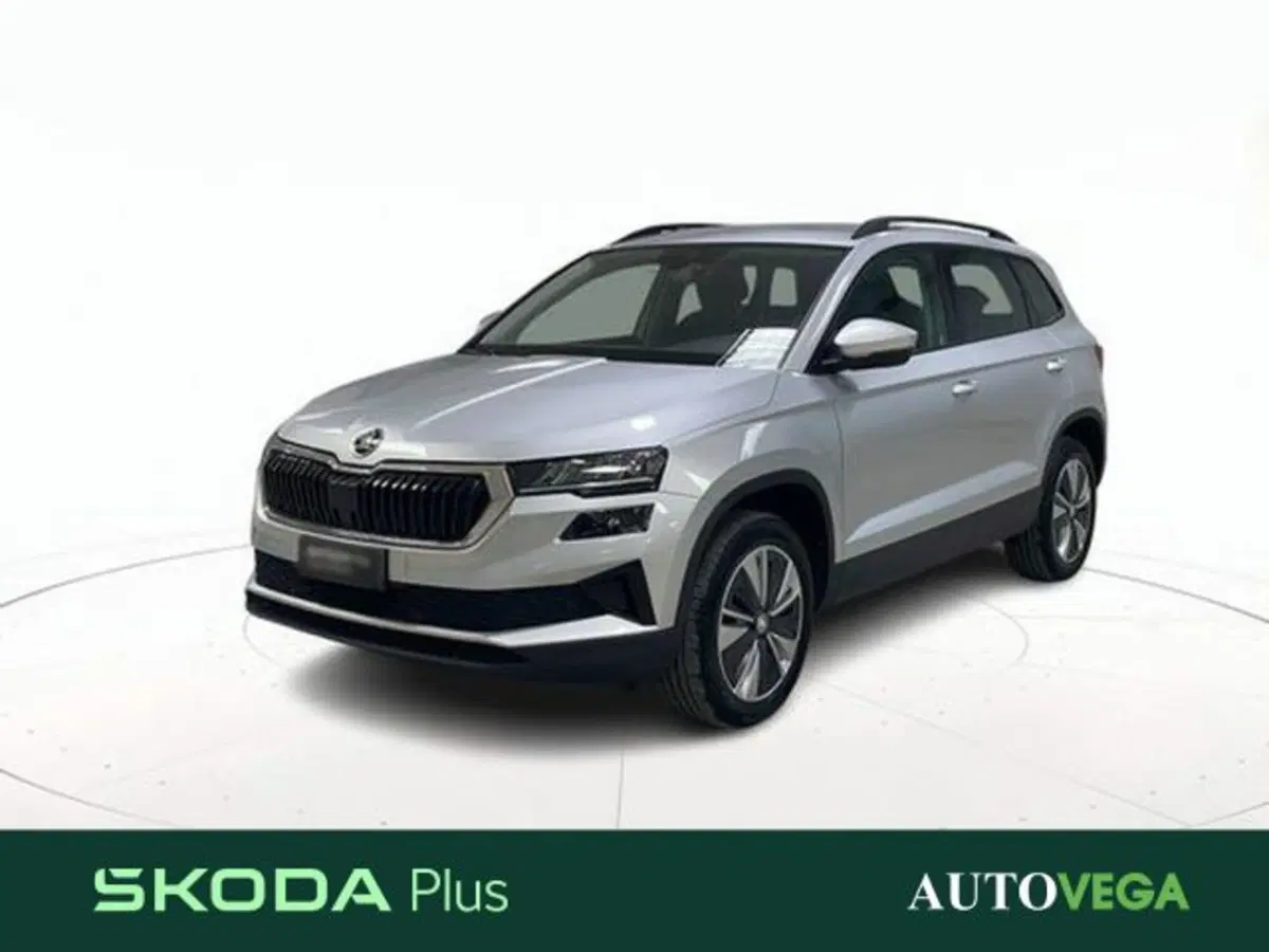 Skoda Karoq usata a Vicenza