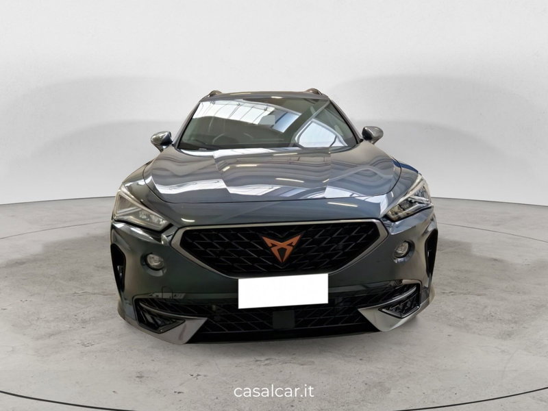 Cupra Formentor usata a Salerno (2)