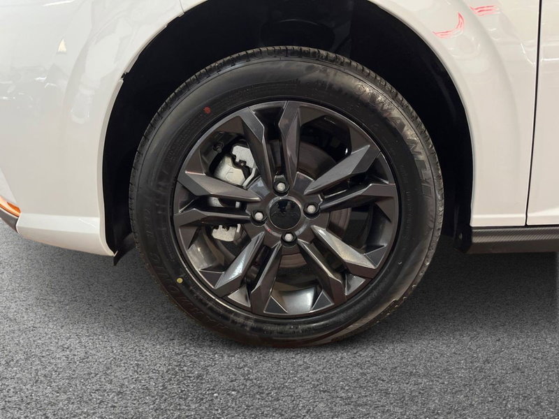 Dongfeng Shine  usata a Bari (6)