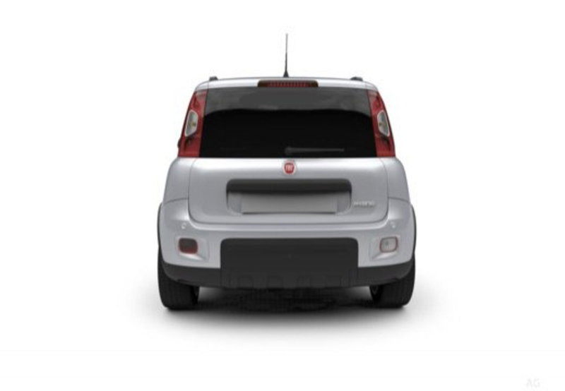 Fiat Panda Cross usata a Palermo (13)
