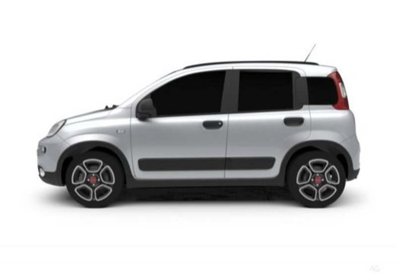Fiat Panda Cross usata a Palermo (15)