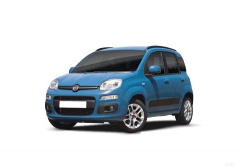 Fiat Panda Cross usata a Palermo (20)