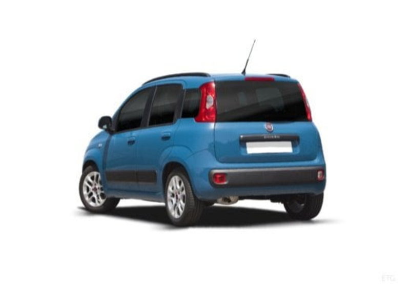 Fiat Panda Cross usata a Palermo (8)