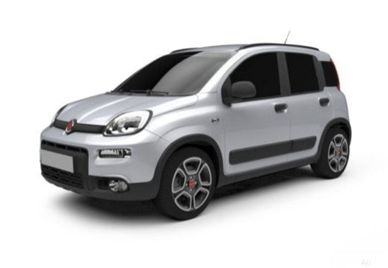 Fiat Panda Cross usata a Palermo (7)