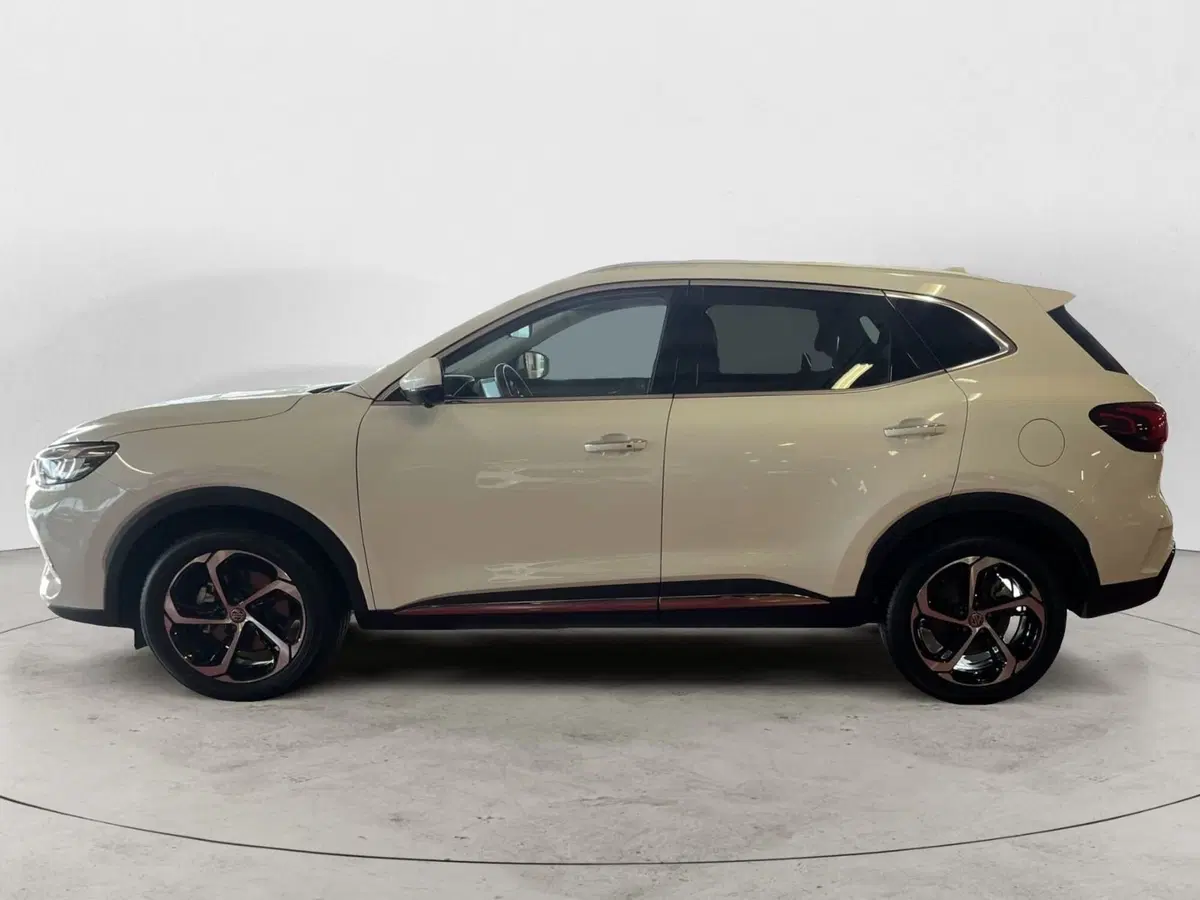 Mg HS nuova a Milano (2)