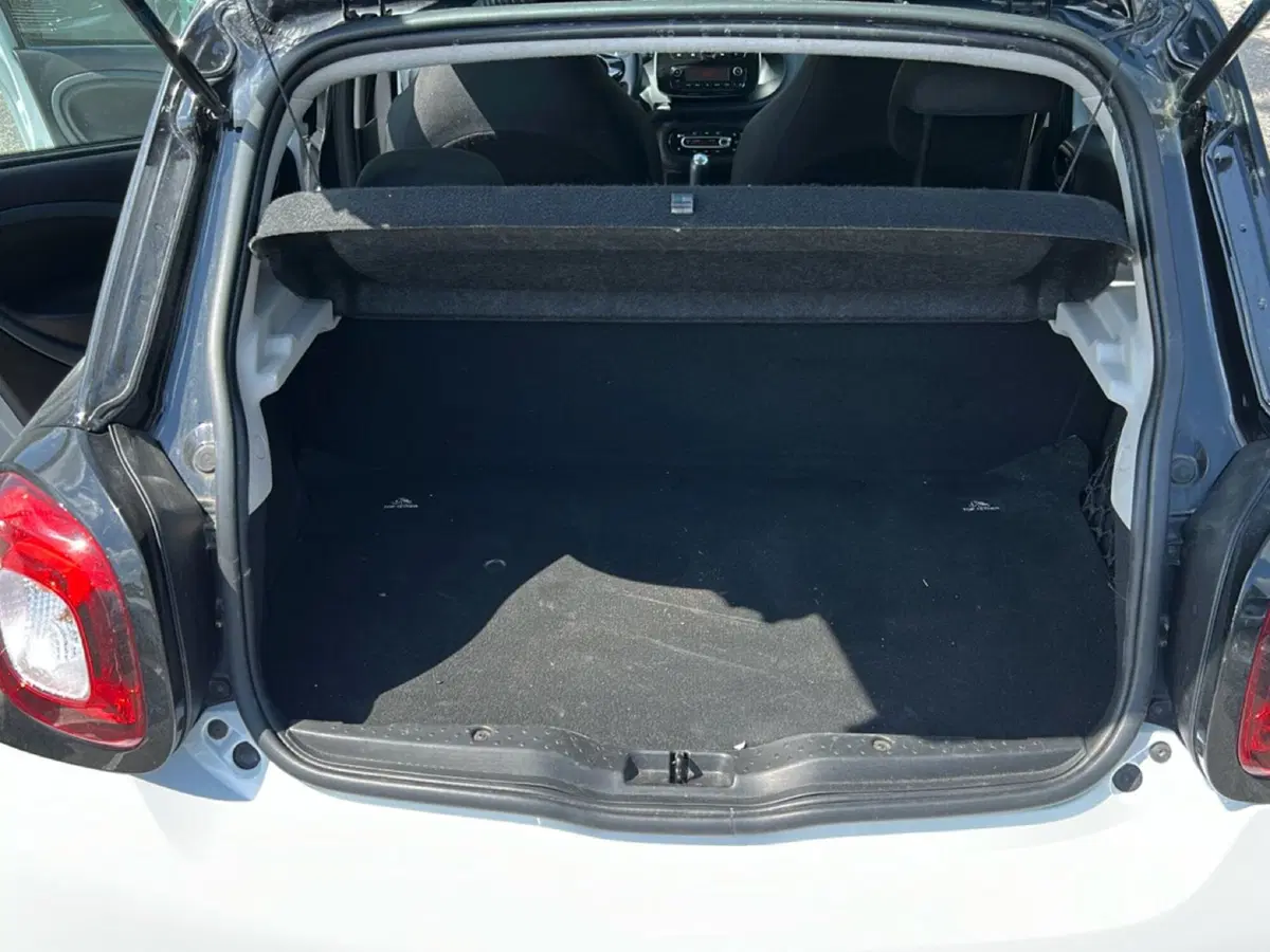 smart forfour usata a Latina (10)