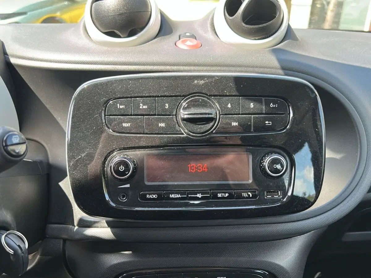smart forfour usata a Latina (16)