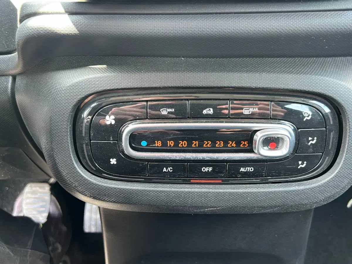 smart forfour usata a Latina (17)