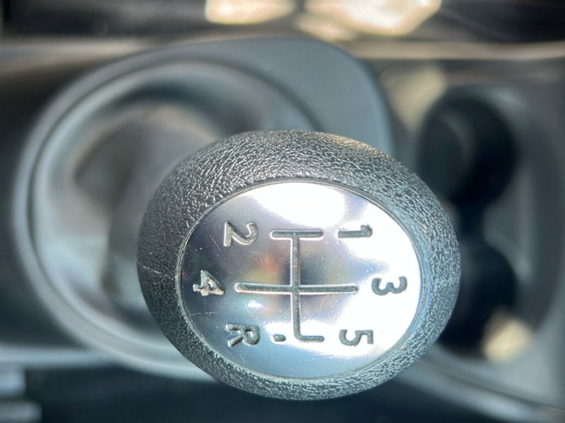 smart forfour usata a Latina (18)