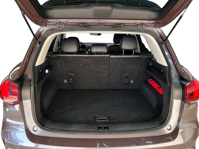 Mg HS usata a Roma (10)