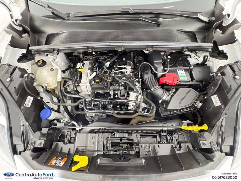 Ford Puma usata a Roma (12)