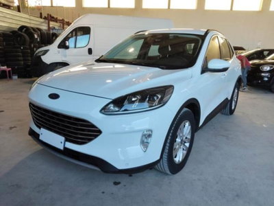 Ford Kuga 1.5 EcoBlue 120 CV 2WD Titanium del 2022 usata a Belpasso