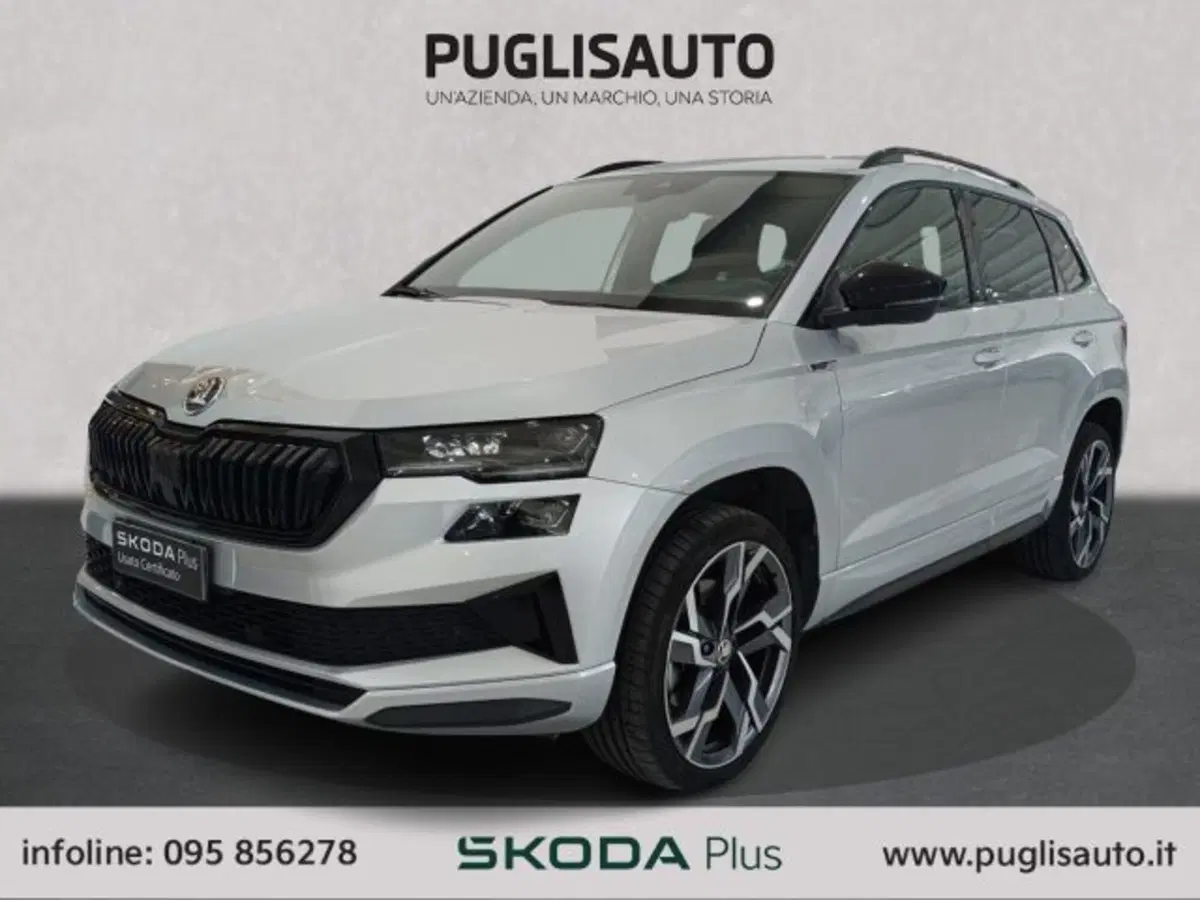 Skoda Karoq usata a Catania (3)