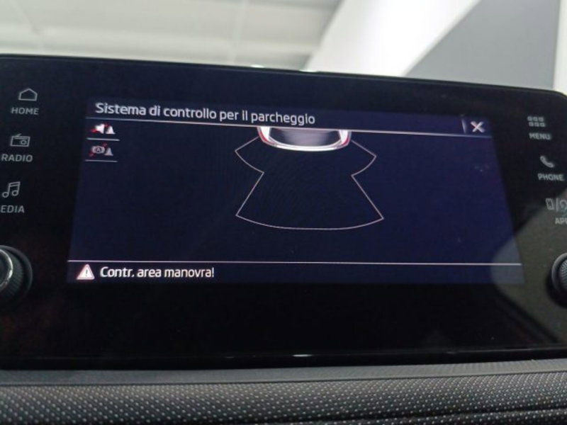 Skoda Fabia usata a Catania (16)