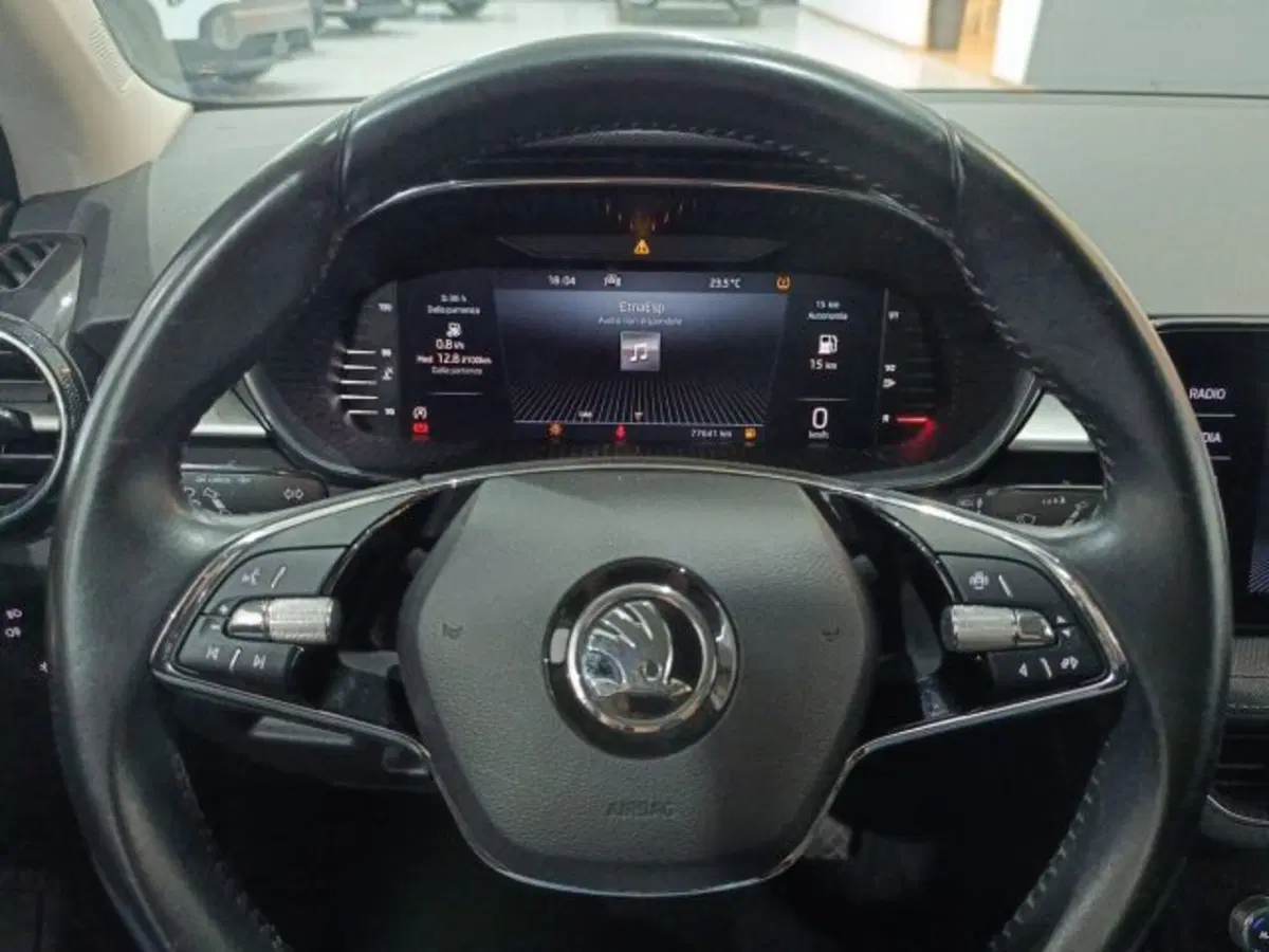 Skoda Fabia usata a Catania (18)
