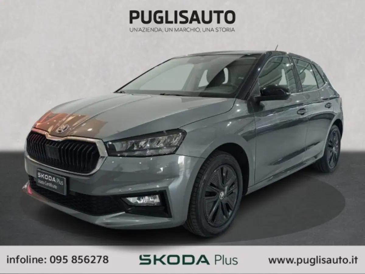 Skoda Fabia usata a Catania (3)