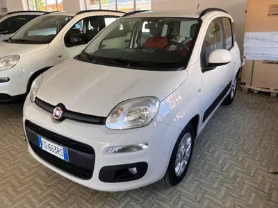 Fiat Panda 1.2 Easy del 2016 usata a Montecrestese