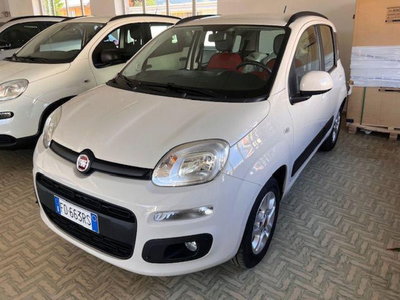 Fiat Panda 1.2 Easy del 2016 usata a Montecrestese