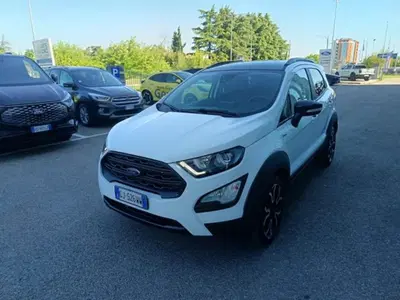 Ford EcoSport 1.0 EcoBoost 125 CV Start&amp;Stop Active del 2022 usata a Imola