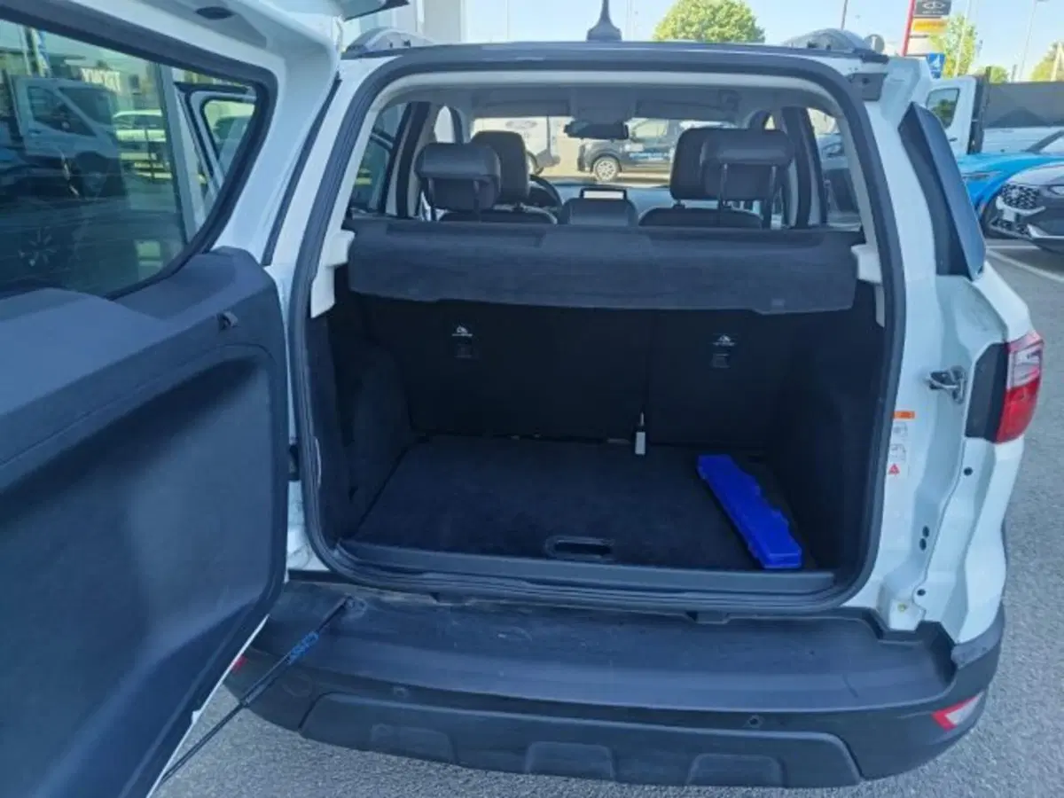 Ford EcoSport usata a Bologna (14)
