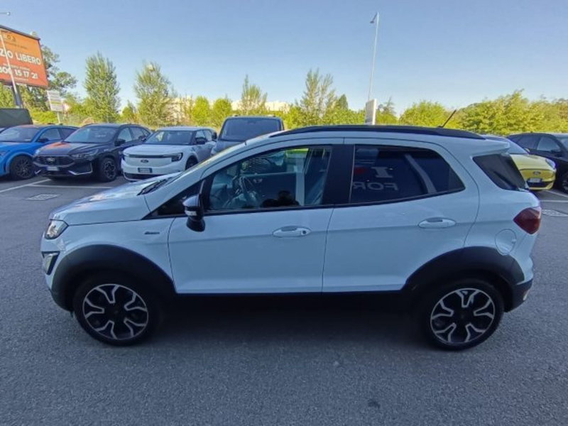 Ford EcoSport usata a Bologna (2)