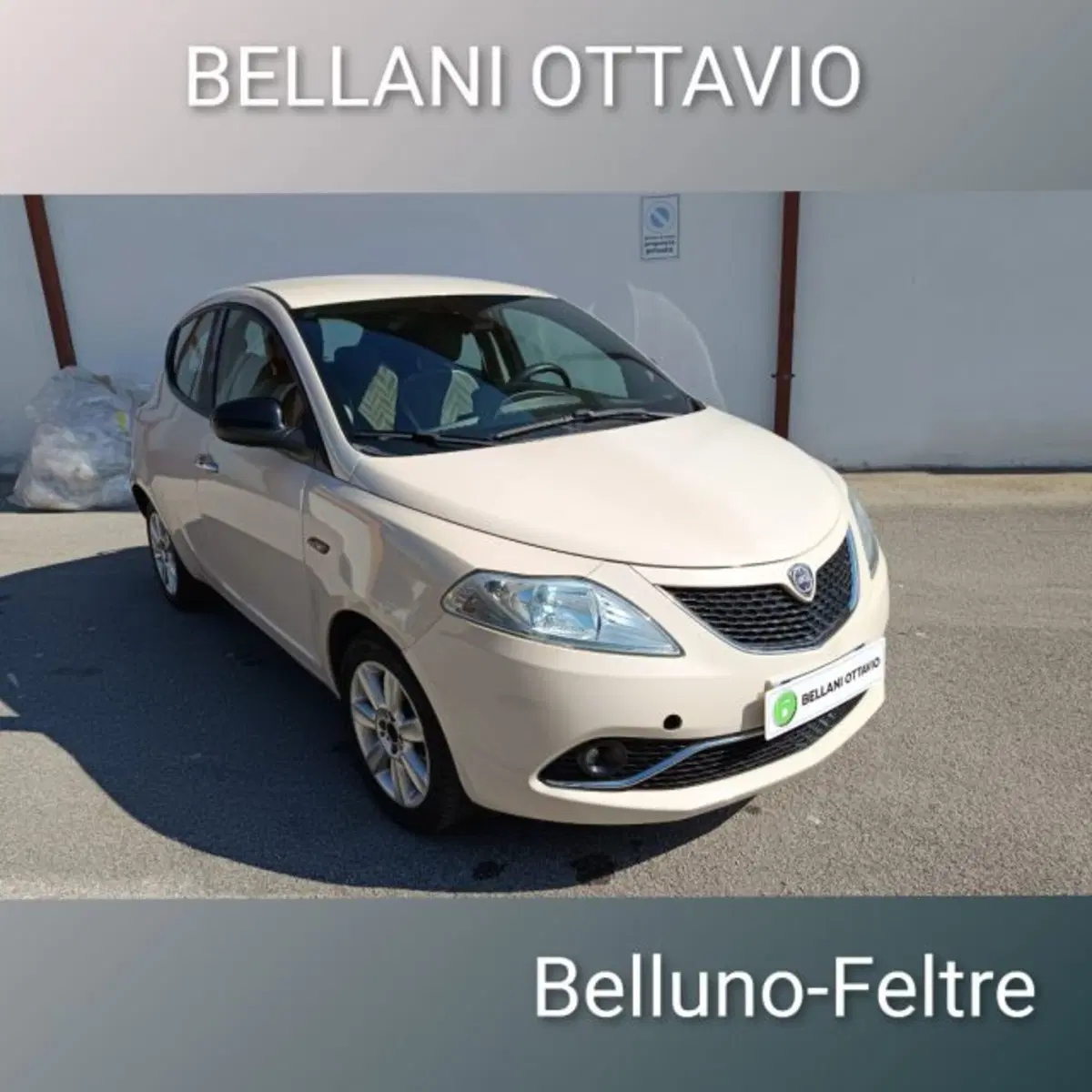 Lancia Ypsilon usata a Belluno
