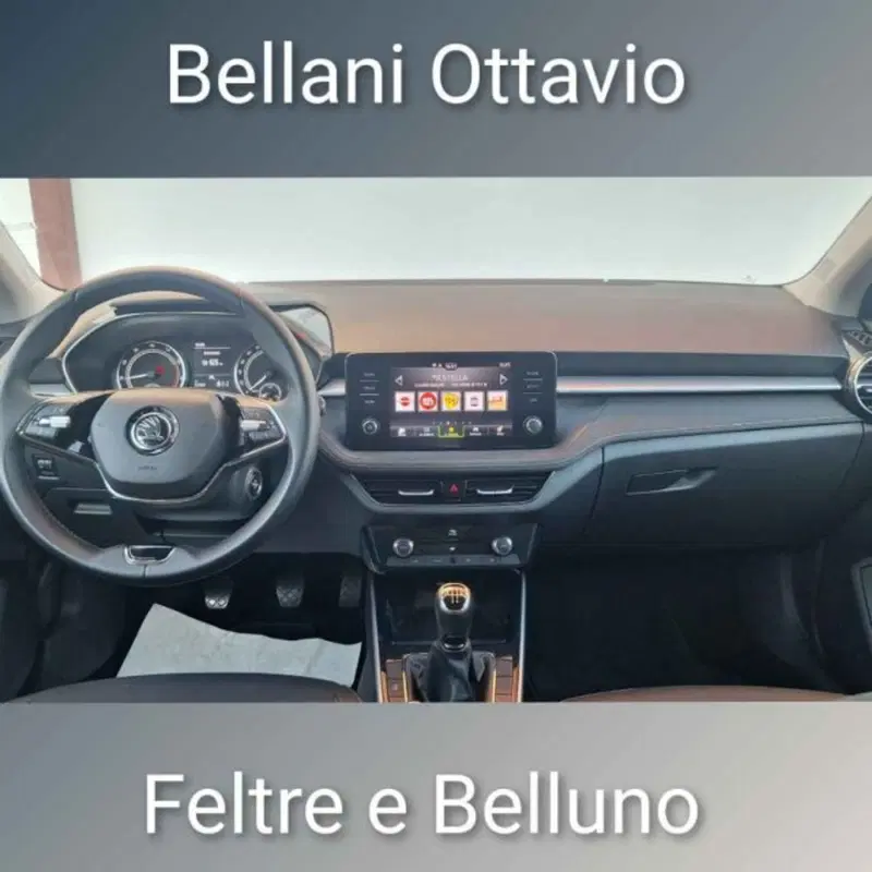 Skoda Fabia usata a Belluno (12)