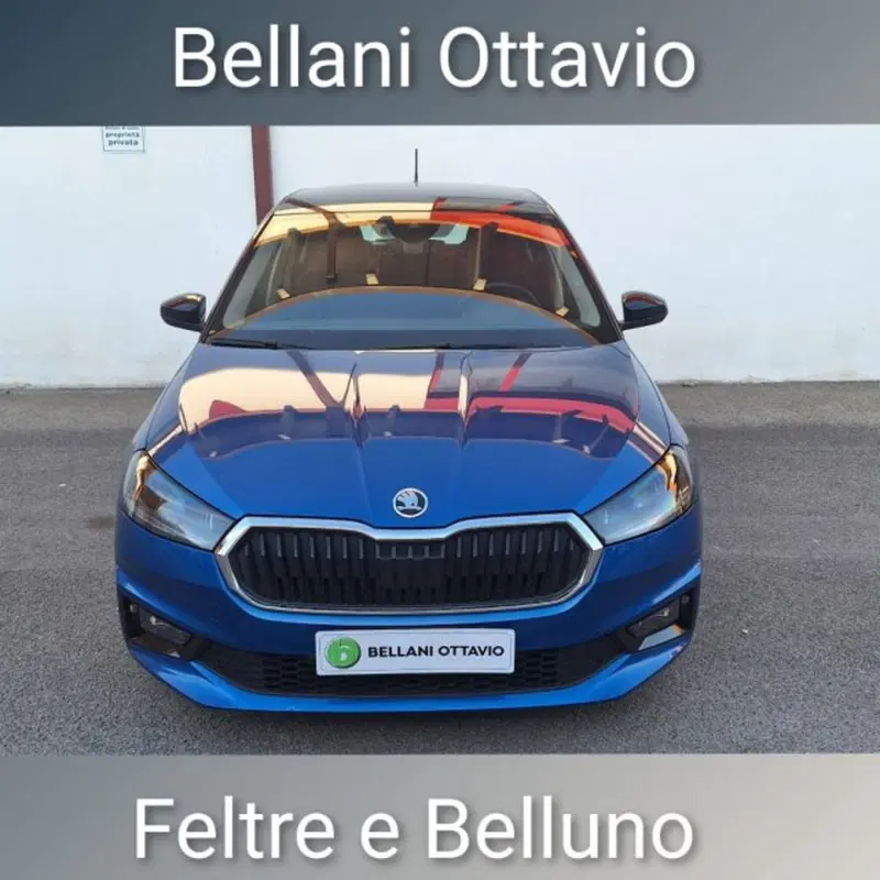 Skoda Fabia usata a Belluno (2)
